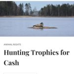 Screen shot of header for an article in Country Squire. Image of a seal on a small island with a beach and trees in the background. Text below: Hunting Trophies for Cash