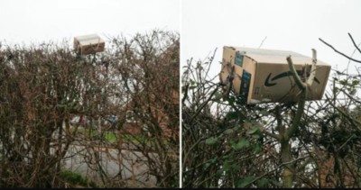 Amazon parcel trapped on top of hedge.