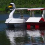 Pedal boat in the shape of a swan on a lake