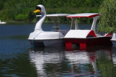 Pedal boat in the shape of a swan on a lake